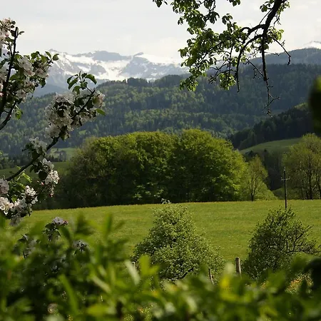 Ferienhof Metzler Schwarzenberg im Bregenzerwald Exterior photo