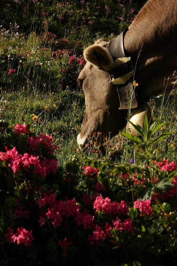 Metzler Agroturismo Schwarzenberg im Bregenzerwald